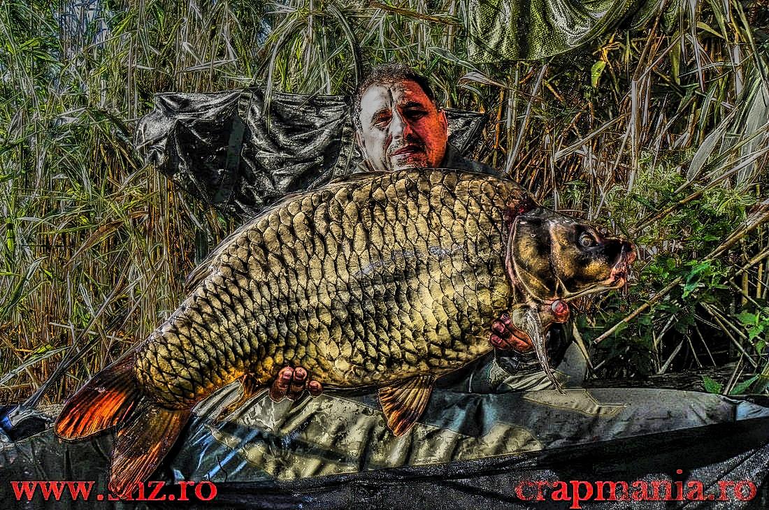 Debutmania - 2013 (3) - 1030737hdrmode2.JPG